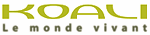 designer eyeglasses koali